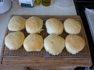 Hamburger Buns