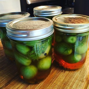 Green Tomato Pickles