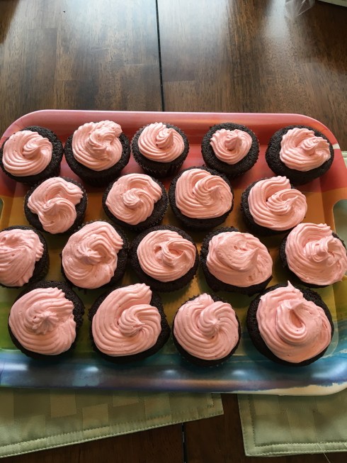 Chocolate-Cupcakes-w-Raspberry1